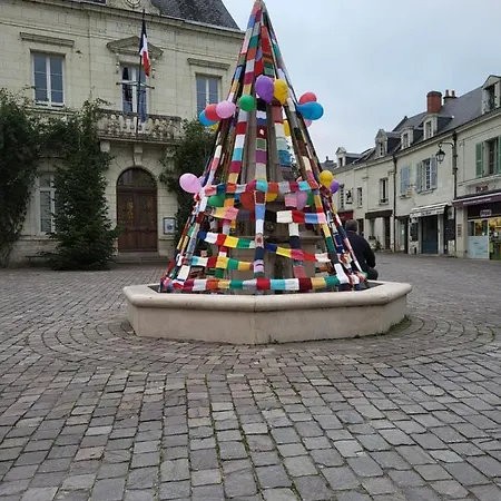 Fontevraud Villa Holiday home *